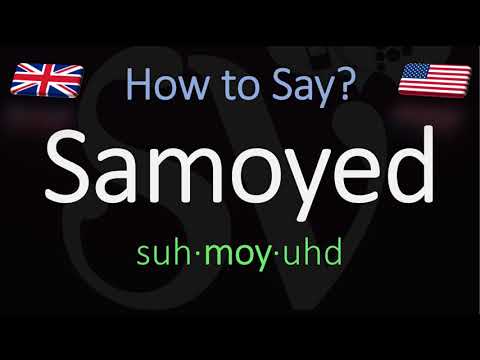 samoyed dog pronunciation