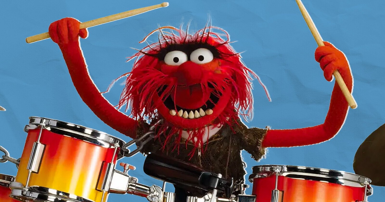 drummer muppets