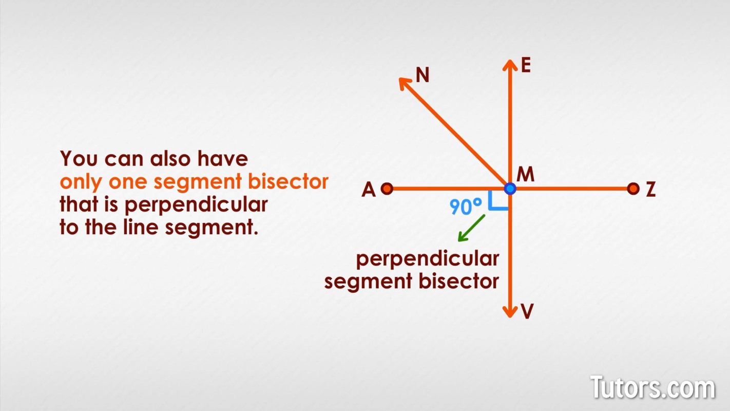 what is a segment bisector in geometry