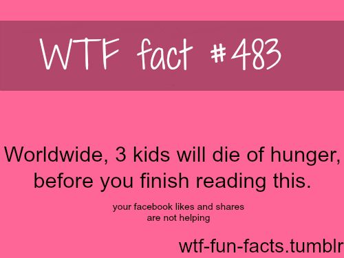 wtf fun facts tumblr