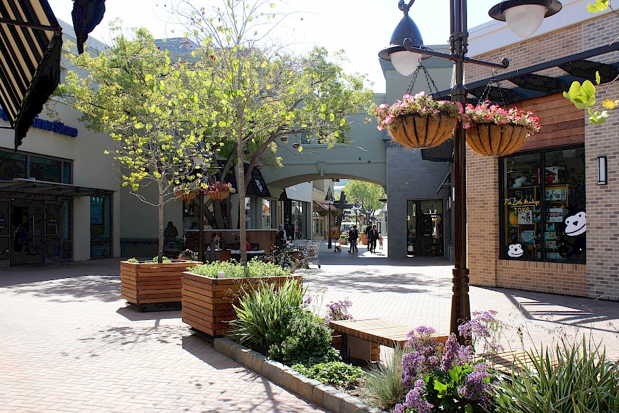 the container store corte madera town center corte madera ca