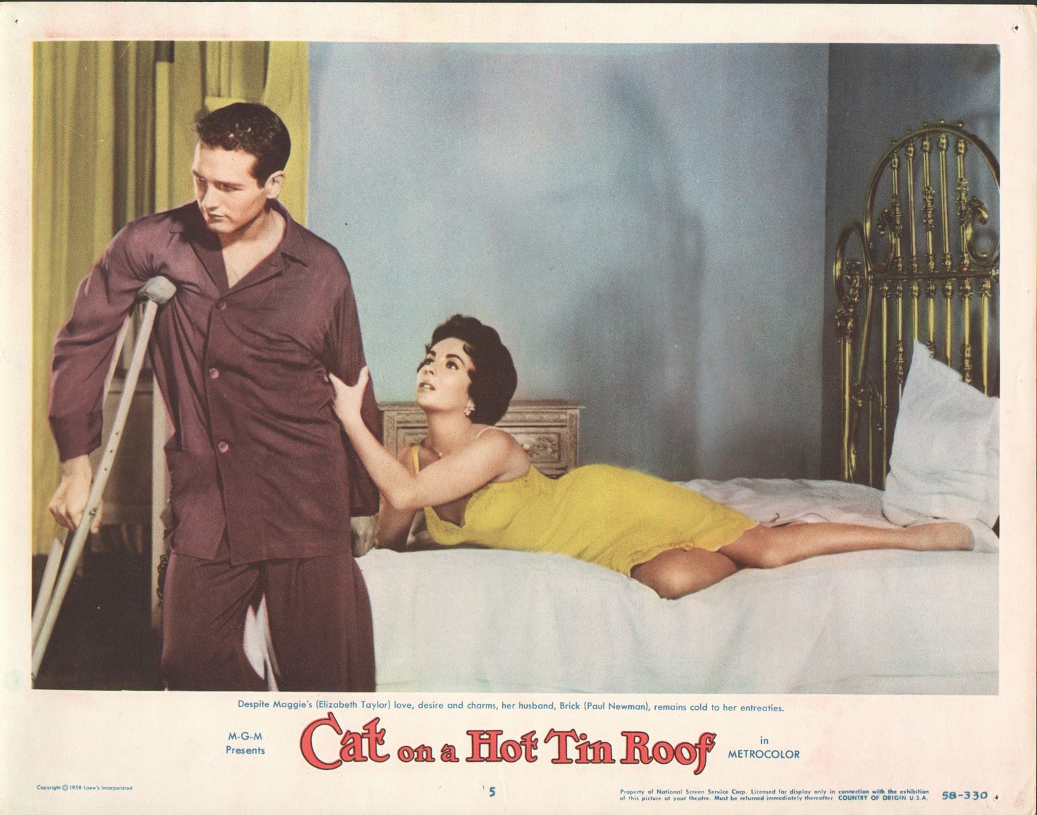 cat on a hot tin roof meaning