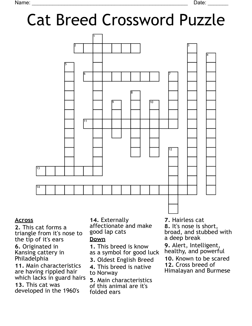 cat crossword clue