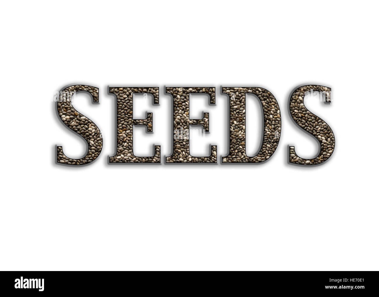 synonyms for seeds