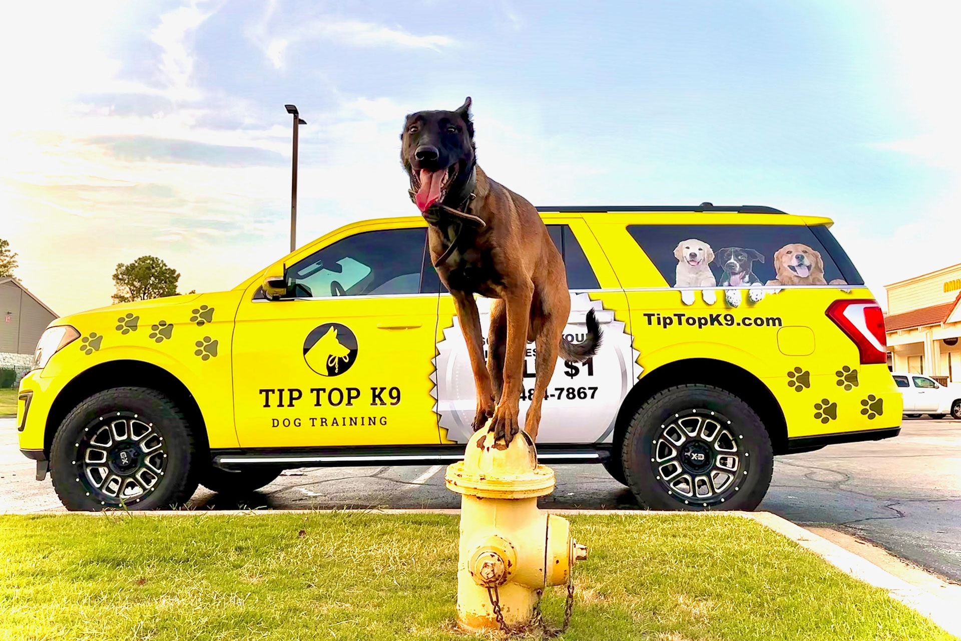 tiptop k9