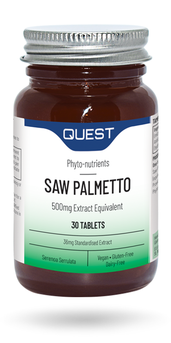 quest palmetto