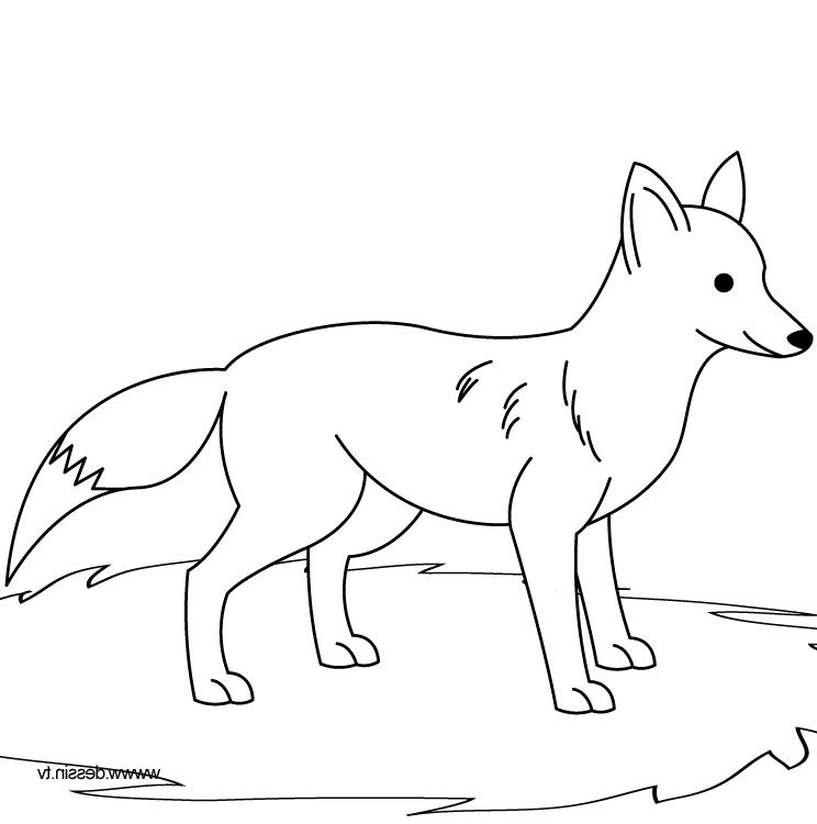 outline picture of fox