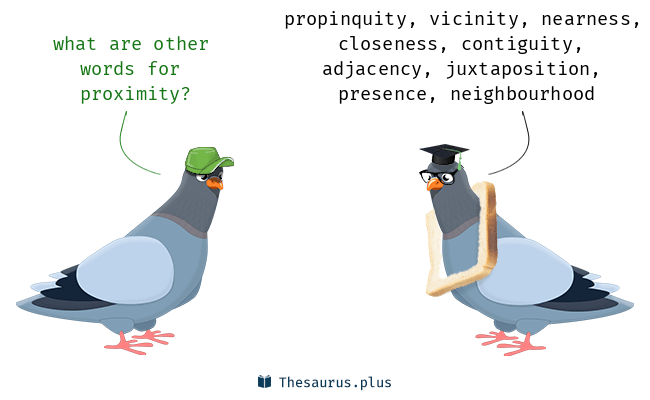 another word for proximity