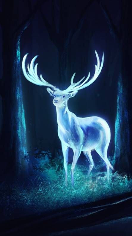 lilys patronus