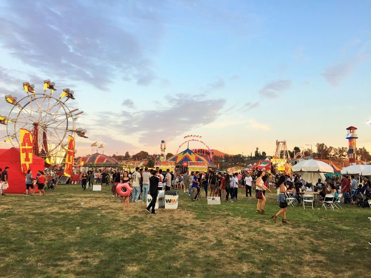 picnic in the park eastvale