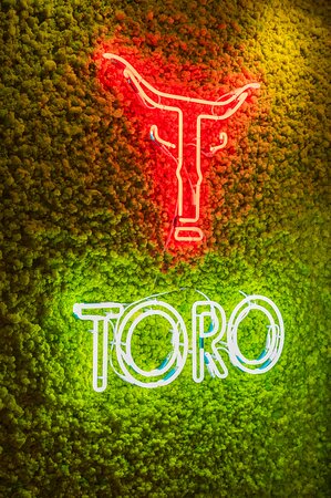 toro brazilian steakhouse