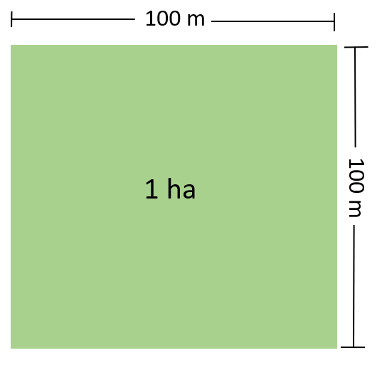 how many square meters in a hectare