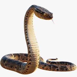 blender snake model free download