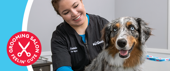 petsmart hot springs grooming