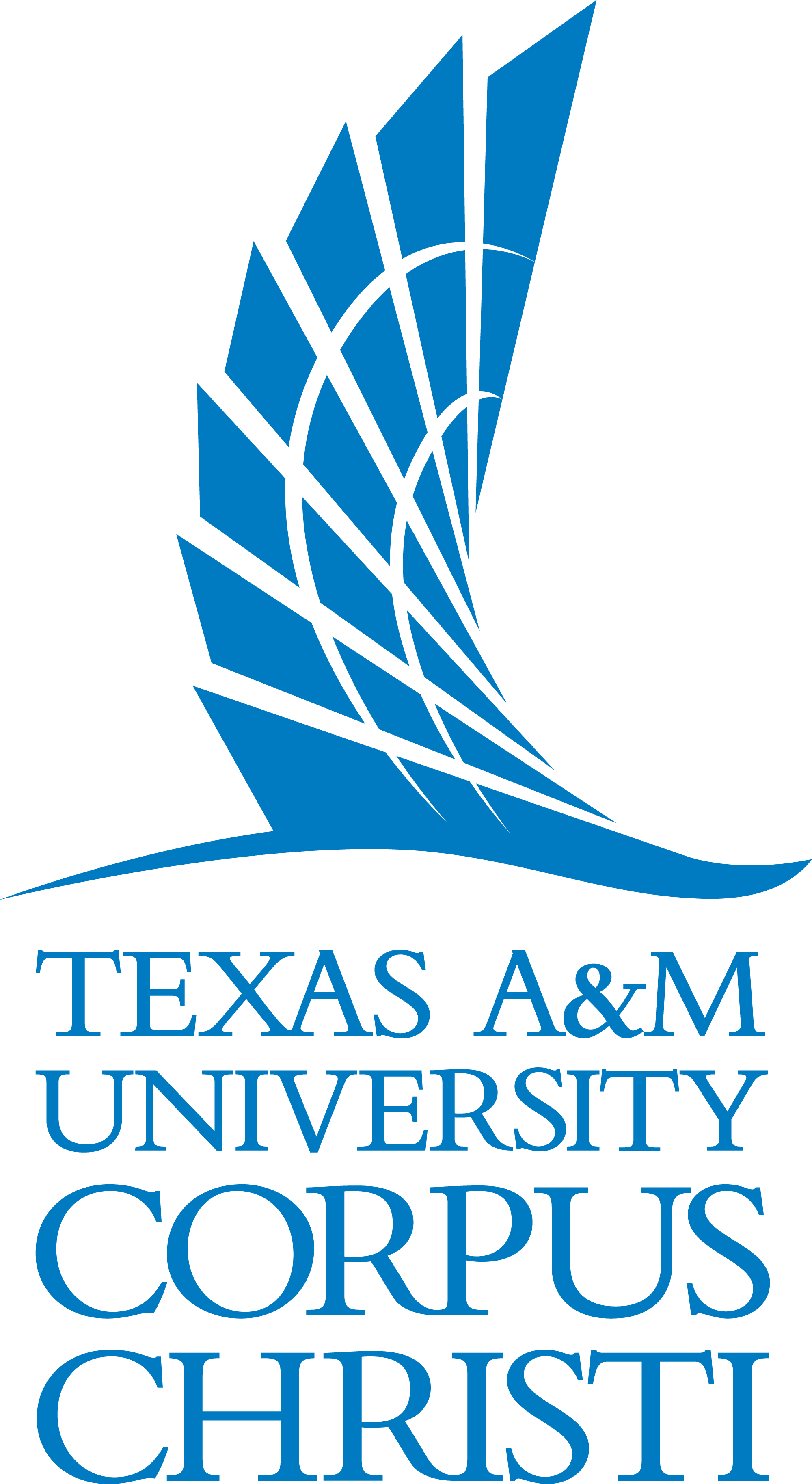 tamucc sail