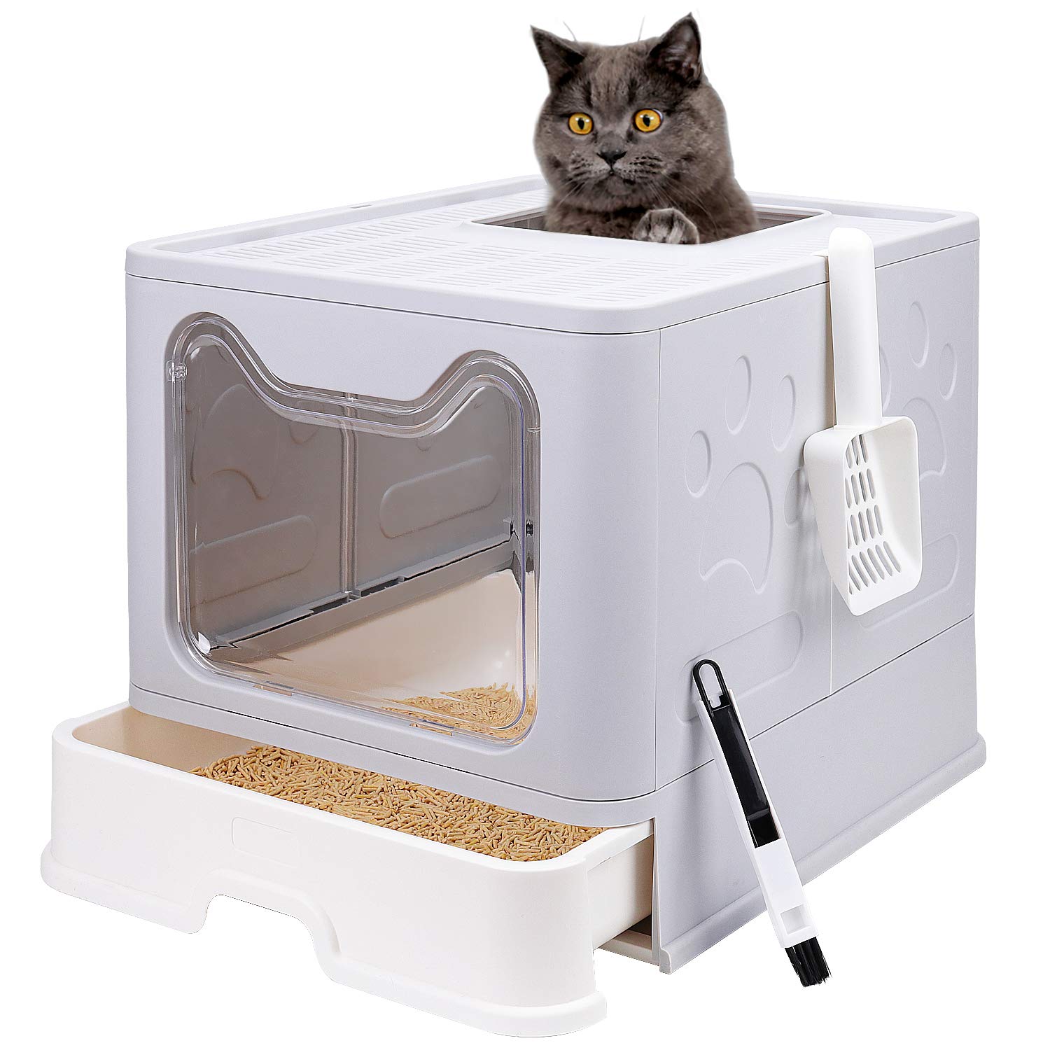 kitty litter tray with lid