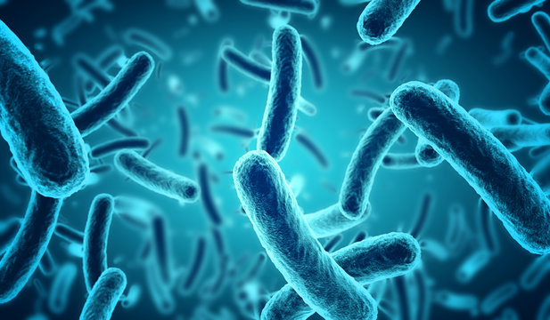 bacteria images hd