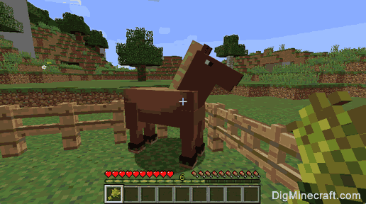 what does minecraft horses eat