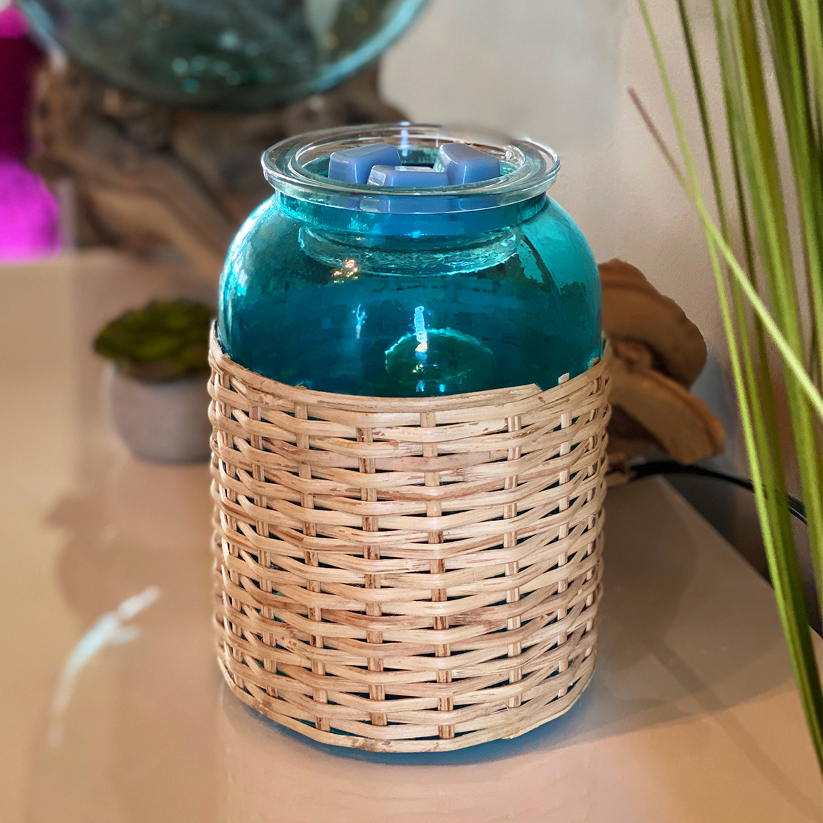 scentsy beach warmer