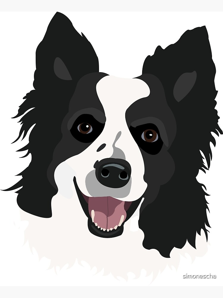 border collie dibujo