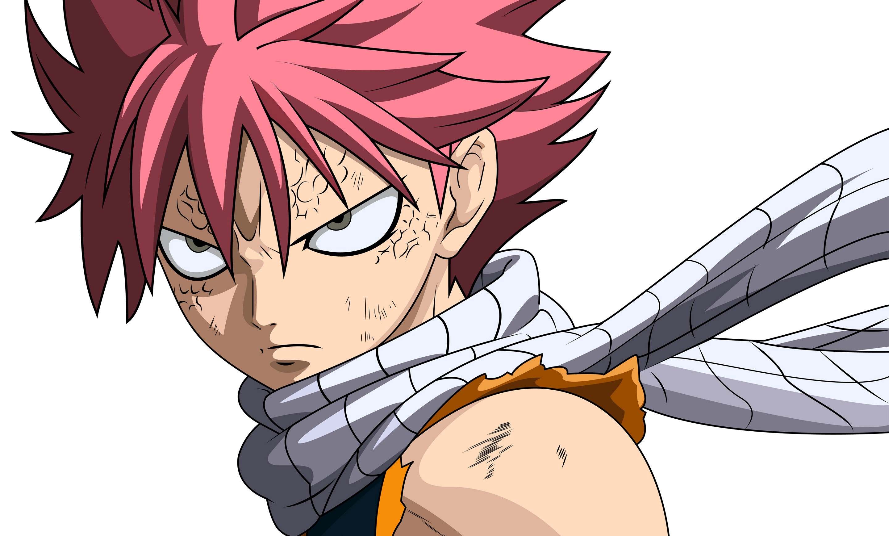 facts about natsu dragneel