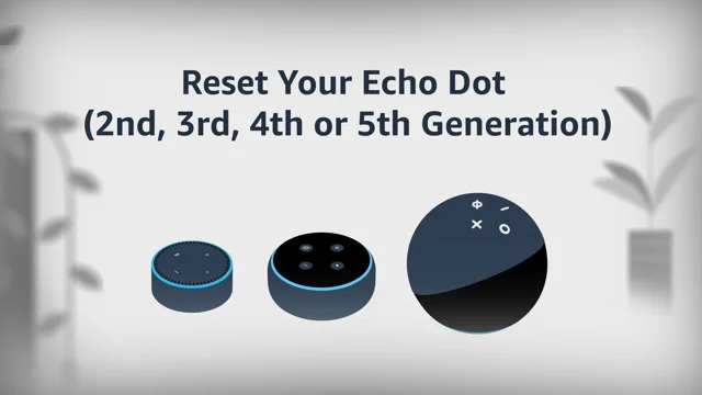 reset alexa dot