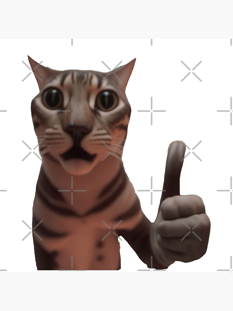 cat with thumbs up