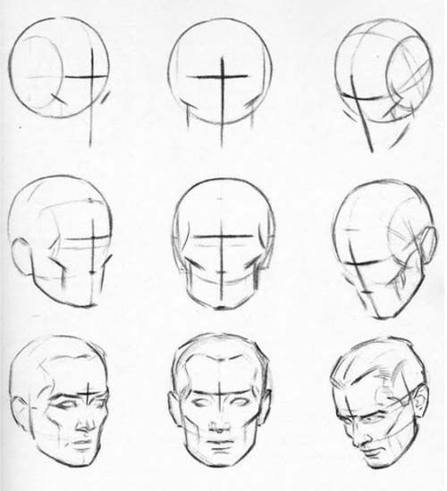 face anatomy drawing