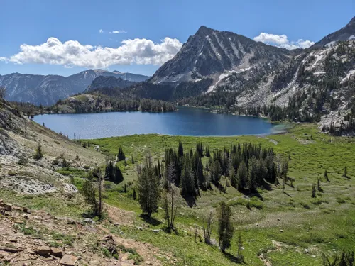 wallowa whitman national forest