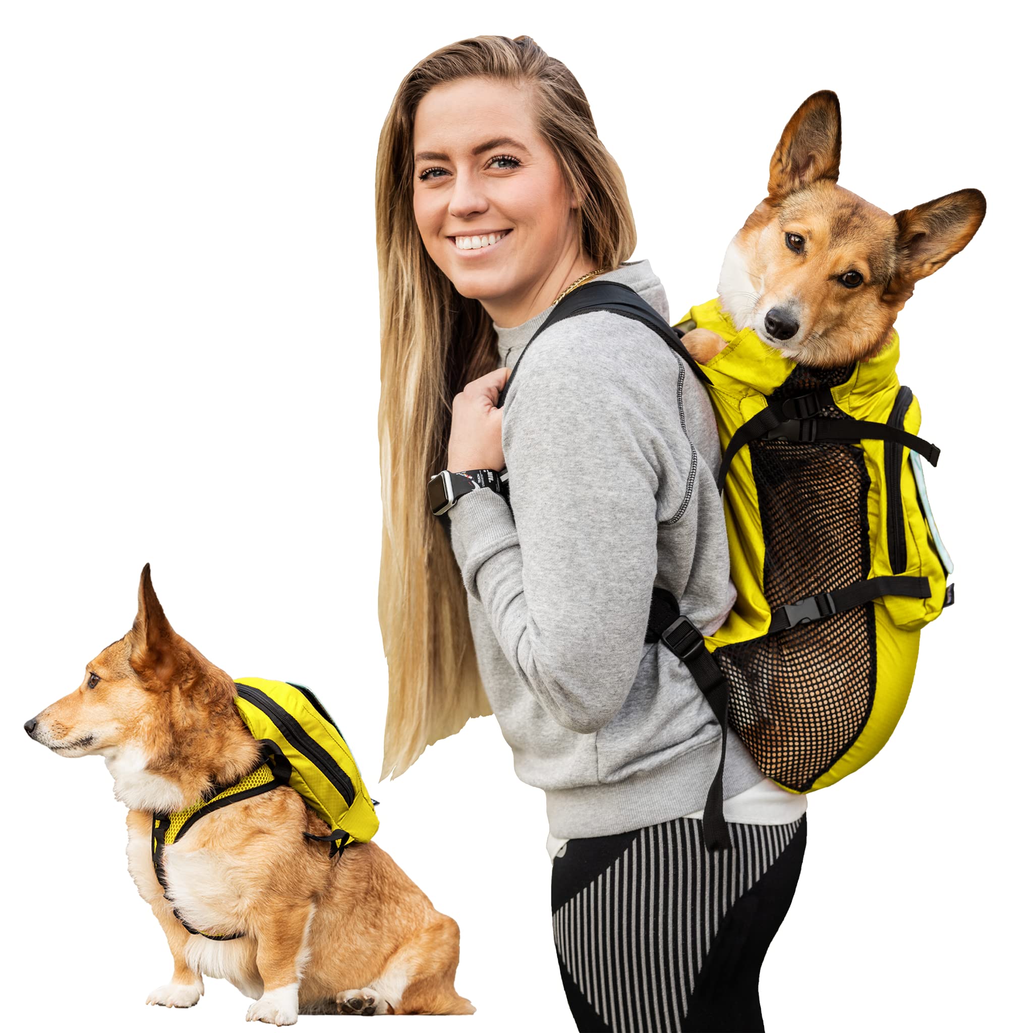 k9 backpack