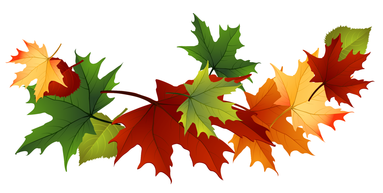 autumn leaves clip art