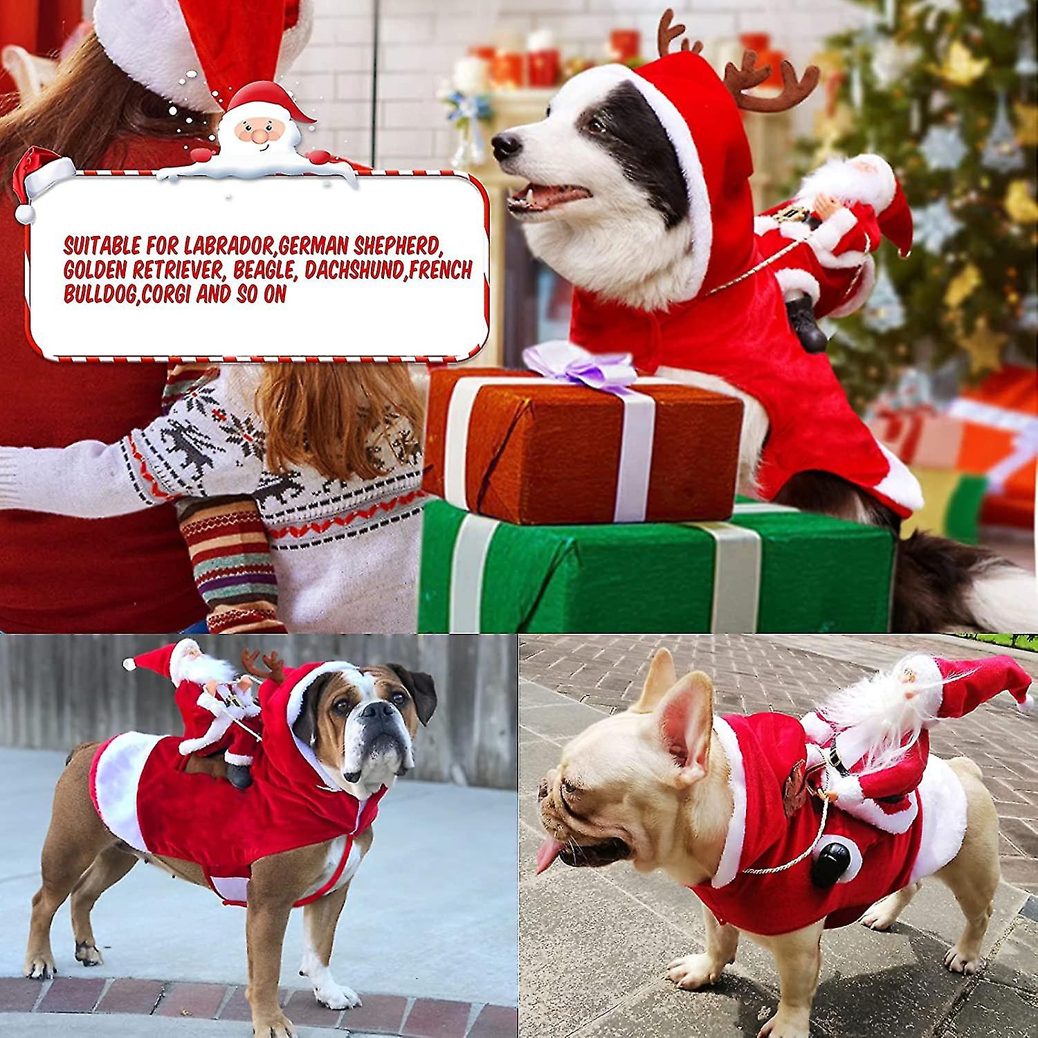 dogs in christmas costumes