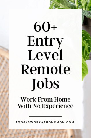 remote no experience jobs