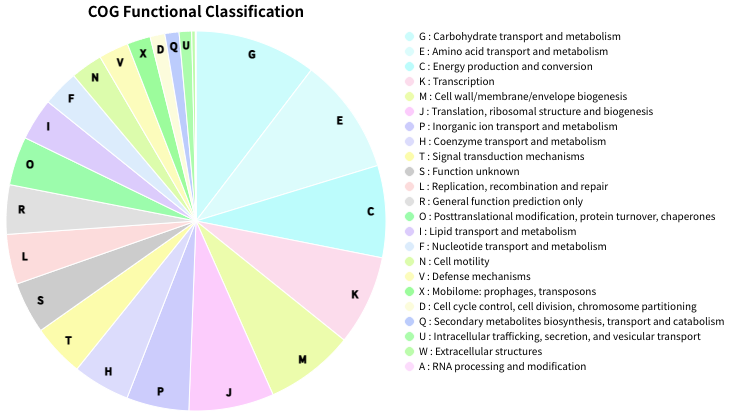 cog categories