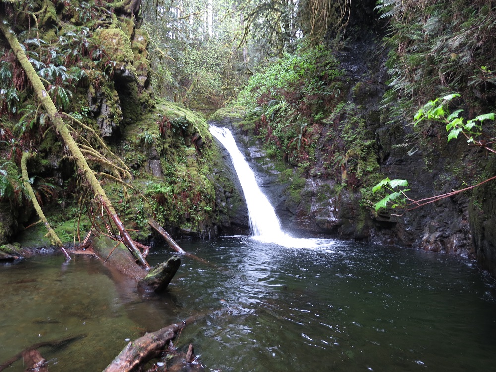 forbes goldstream