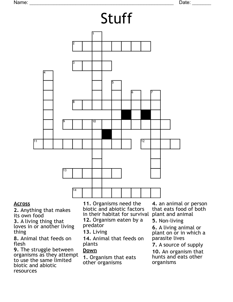 stuff crossword