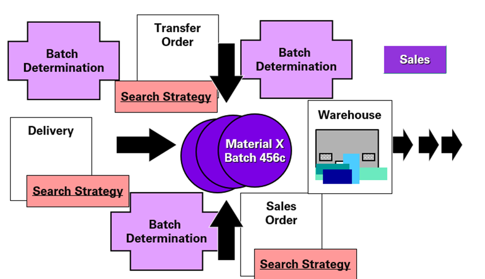 batch management in sap sd