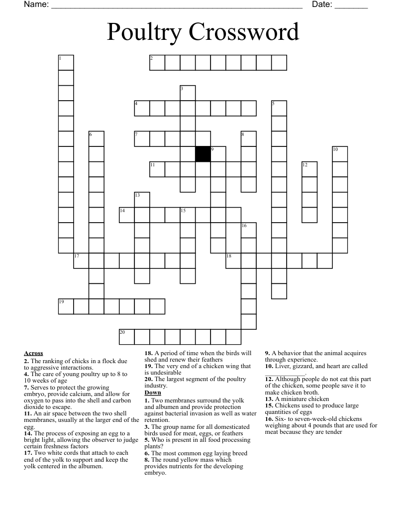 poultry crossword