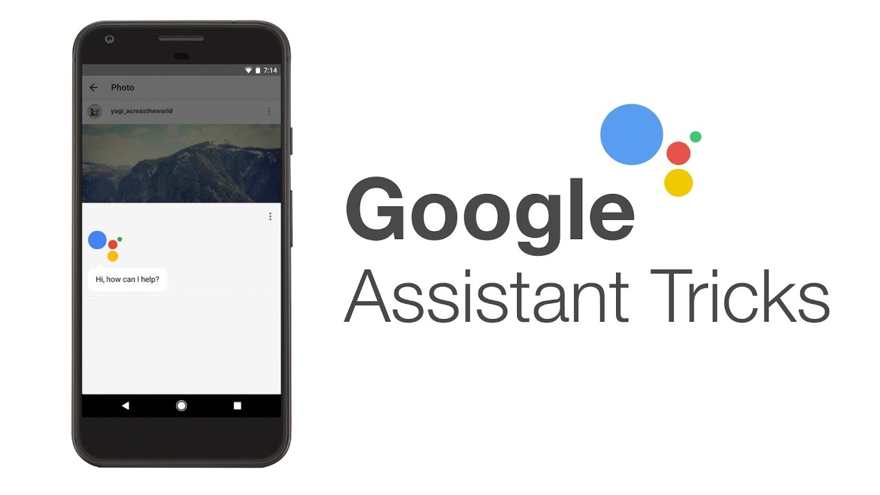 hi google assistant