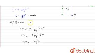 a particle is falling freely under gravity