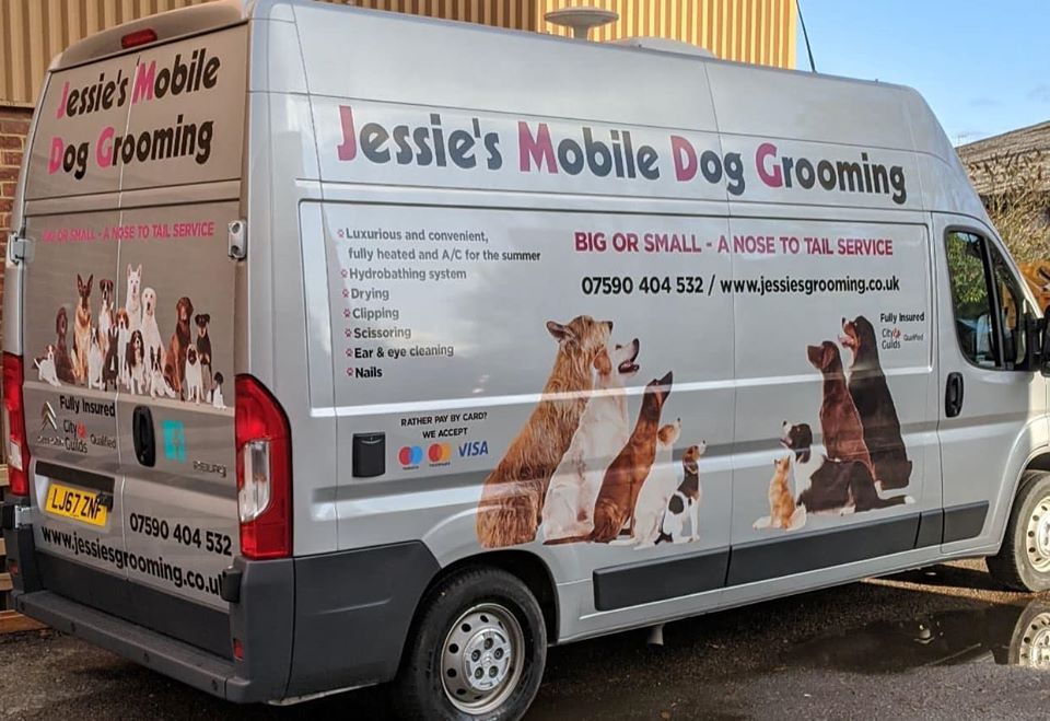 mobile dog groomer near me