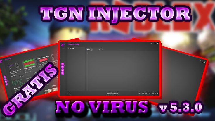 injector for roblox