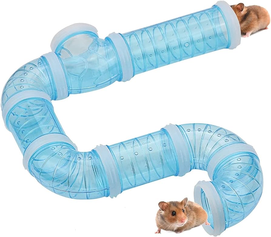 hamster tube hd