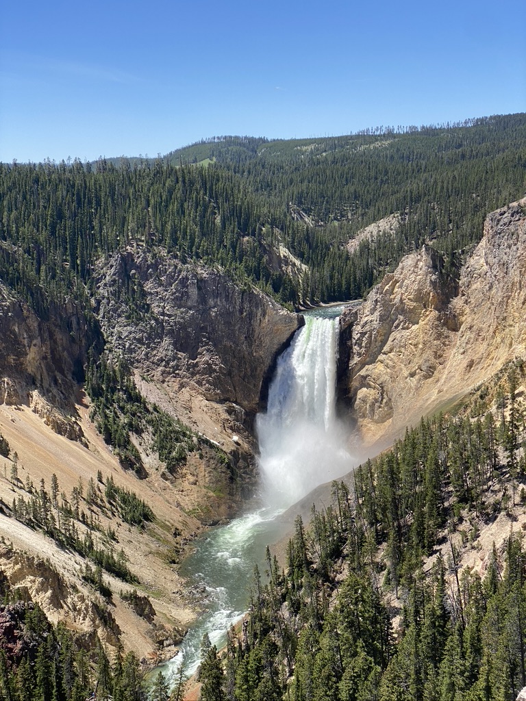 yellowstone park wikipedia