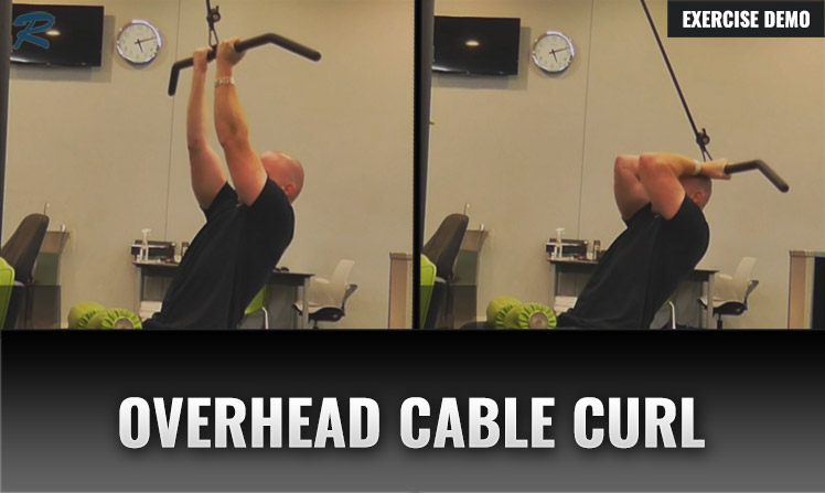 overhead cable curl substitute