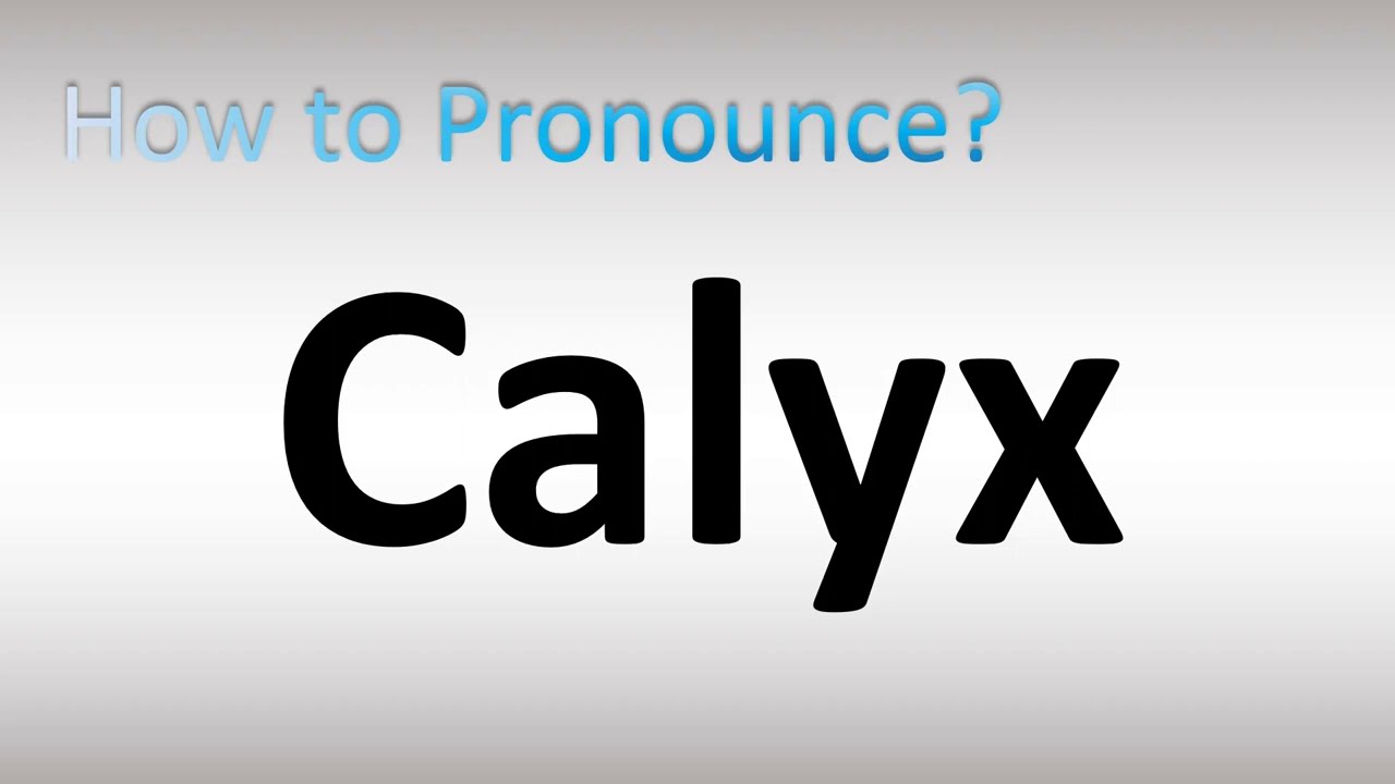 how to pronounce calyx