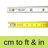 how many feet is 100 cm