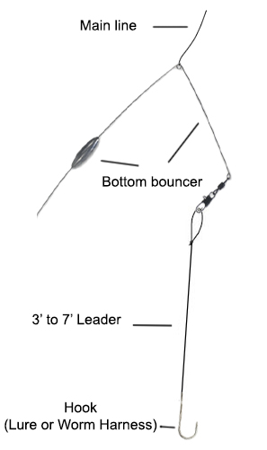 bottom bouncing rigs for walleye