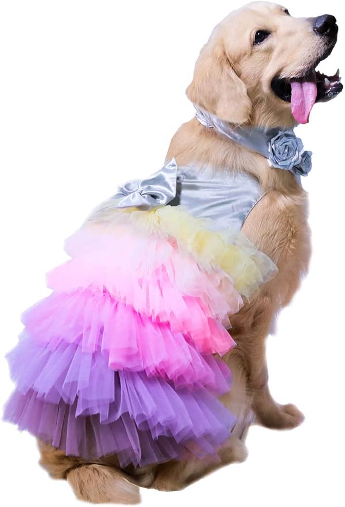 dog dress