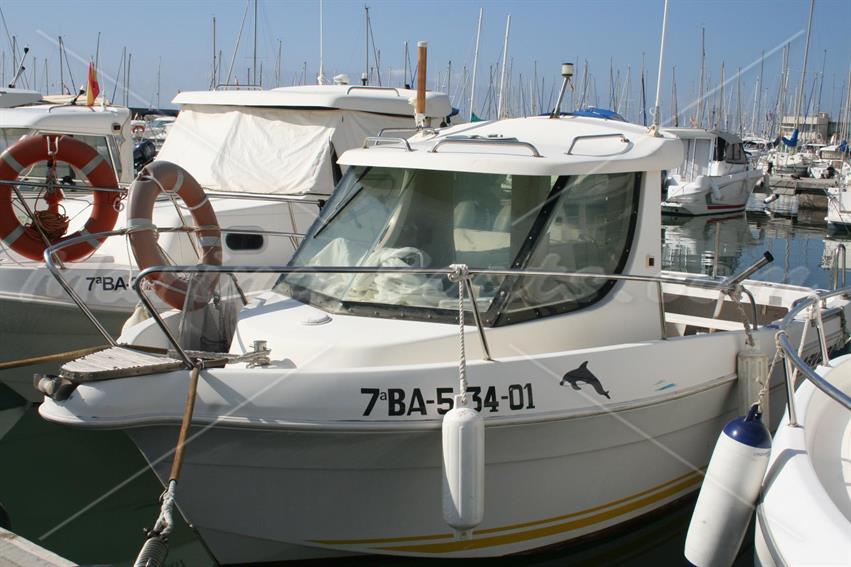 arvor 20